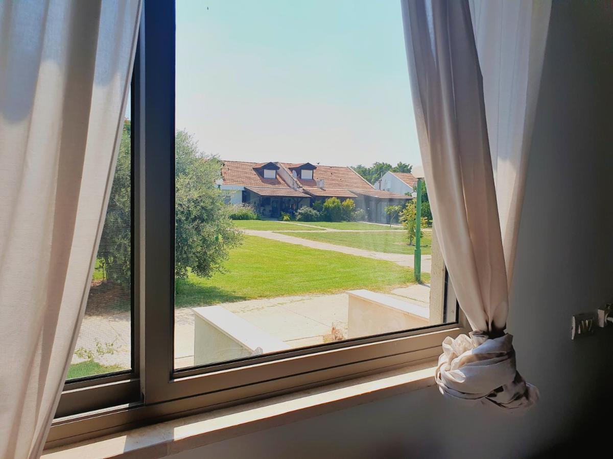 Gilboa View - יחידת אירוח מתוקה Daire Reshafim Dış mekan fotoğraf