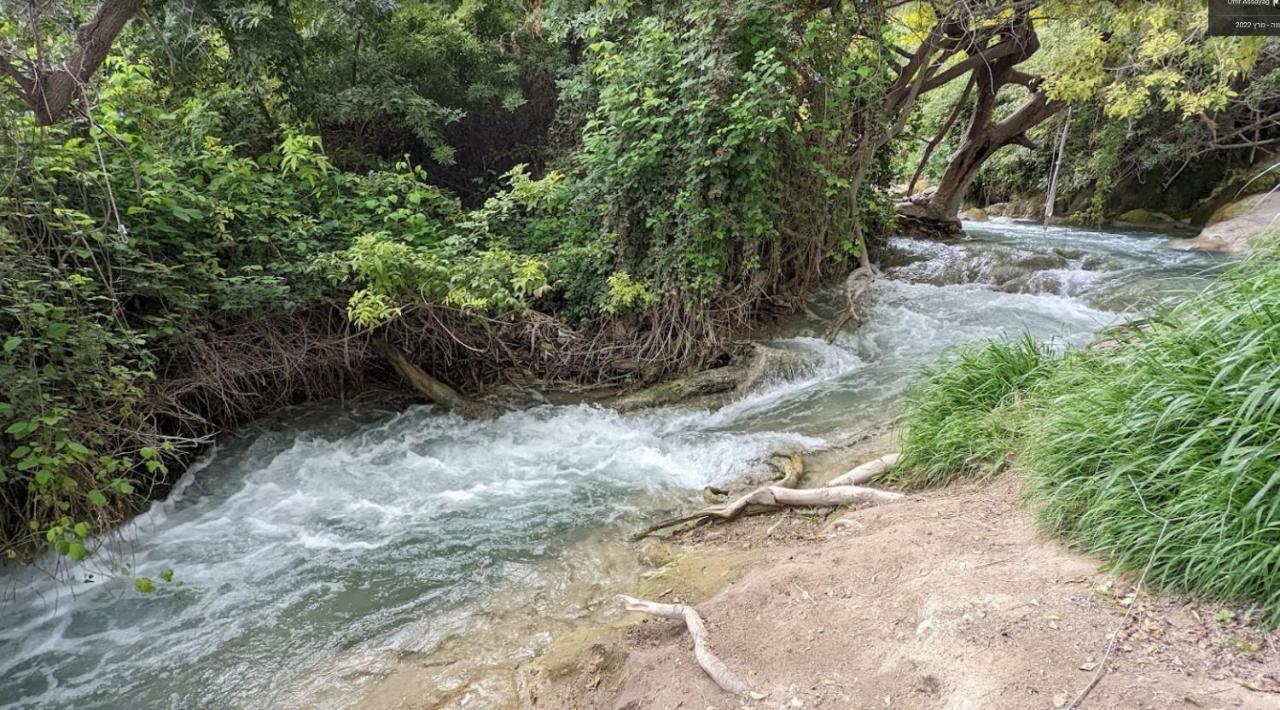 Gilboa View - יחידת אירוח מתוקה Daire Reshafim Dış mekan fotoğraf